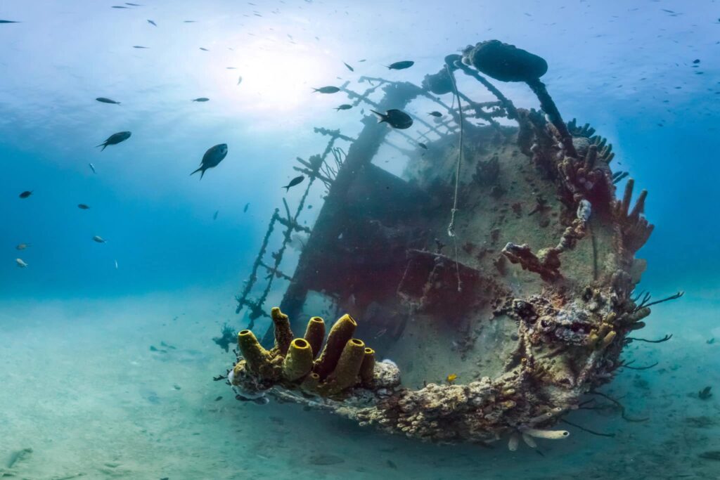 An Unbelievable 3 Million Shipwrecks in The Ocean