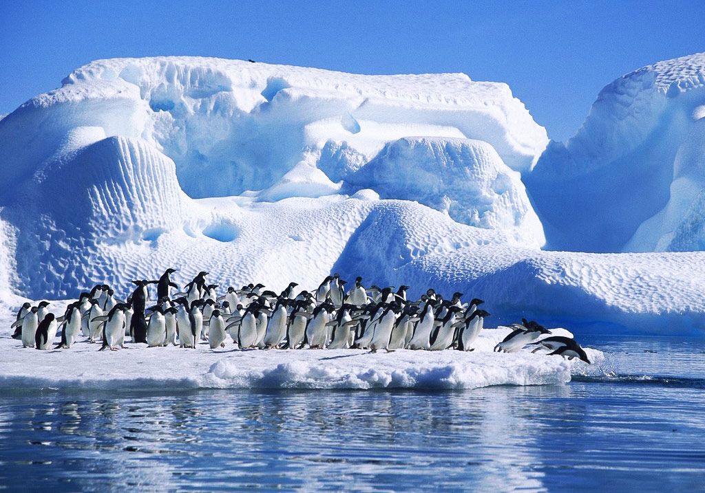 Antarctic Ocean - The Youngest Ocean