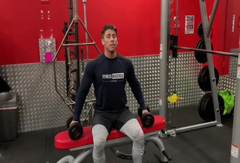 Bent Over Lateral Raise.