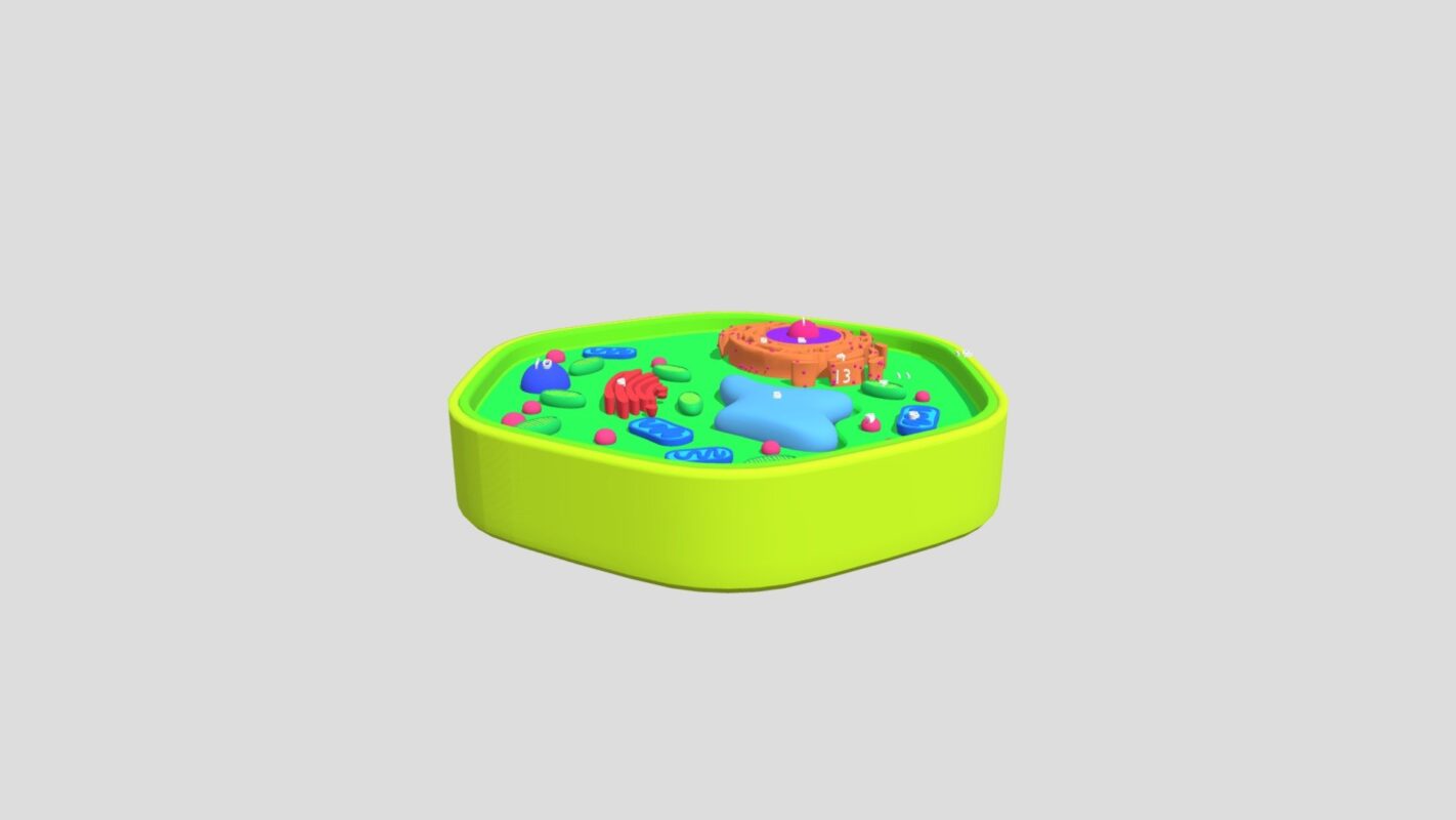 25 Creative Plant Cell Project Ideas - Theresa Reviews