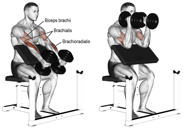 Equipment and Posture Preparation