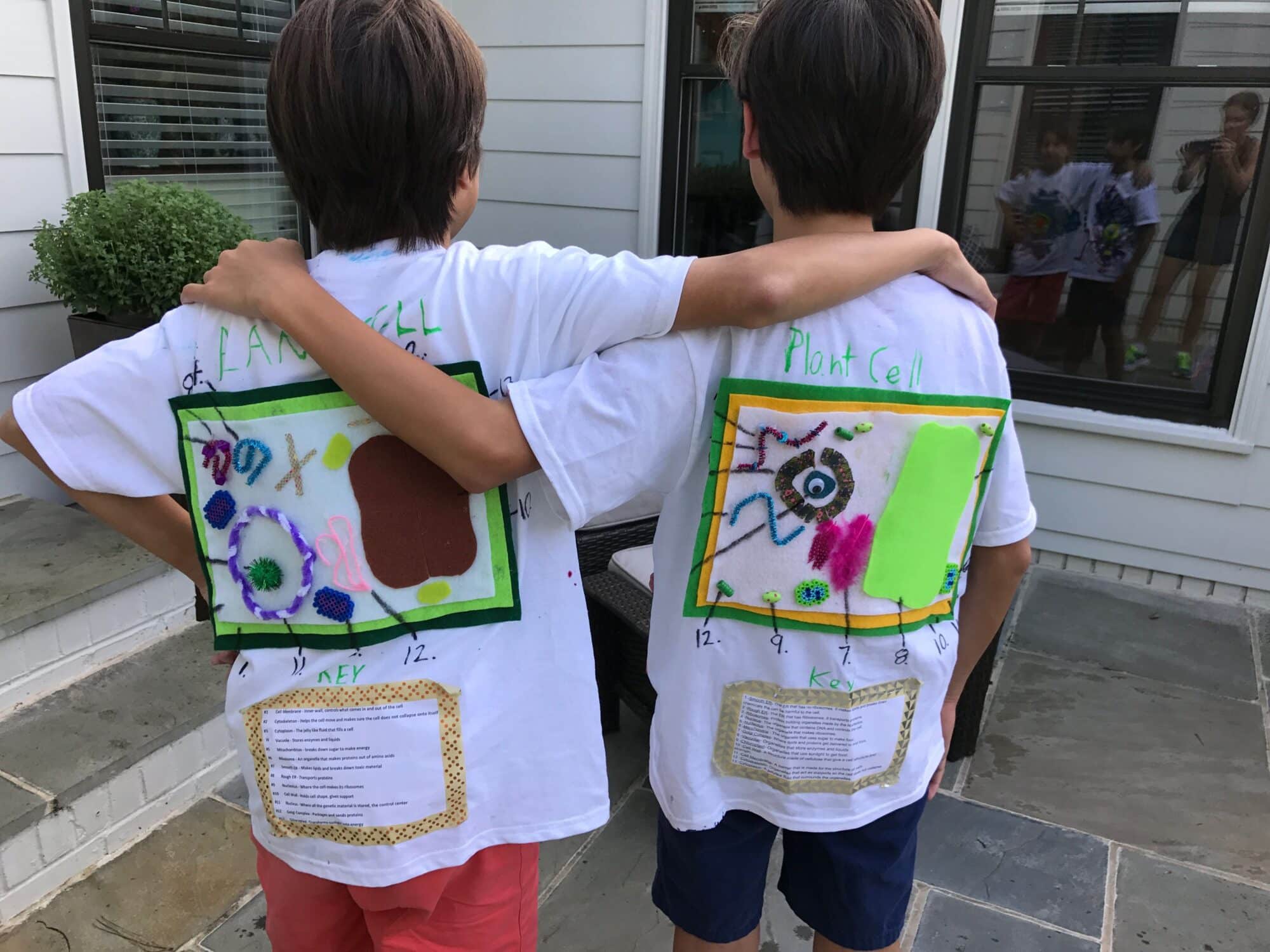 25 Creative Plant Cell Project Ideas - Theresa Reviews