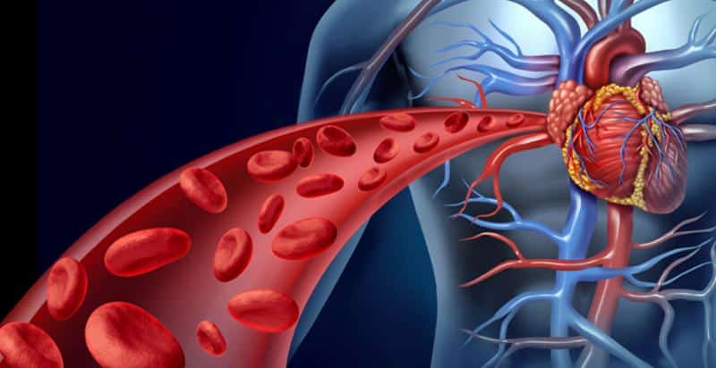 Improve Blood Circulation