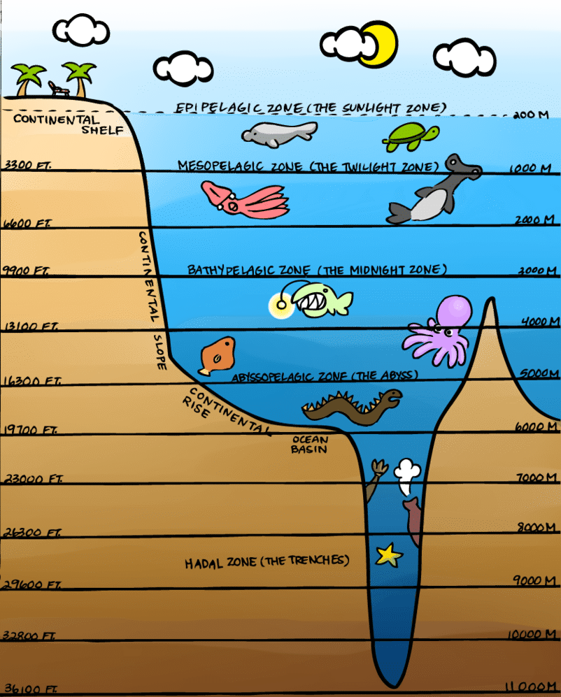 Ocean Layers