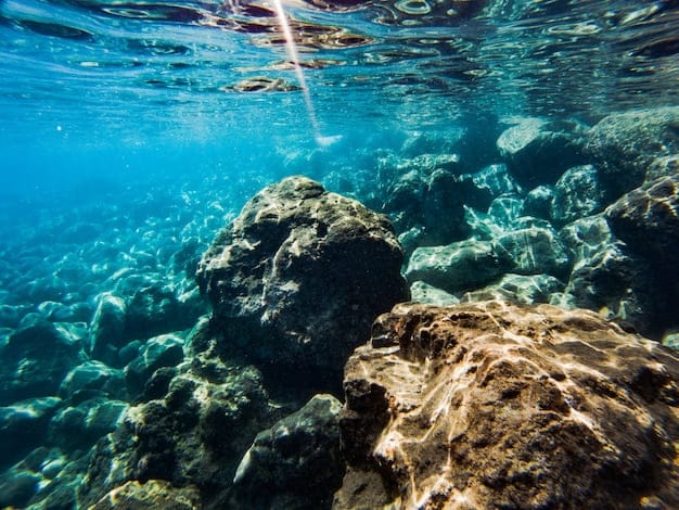 Ocean, Still Remains Undiscovered