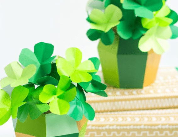 Potted Shamrocks