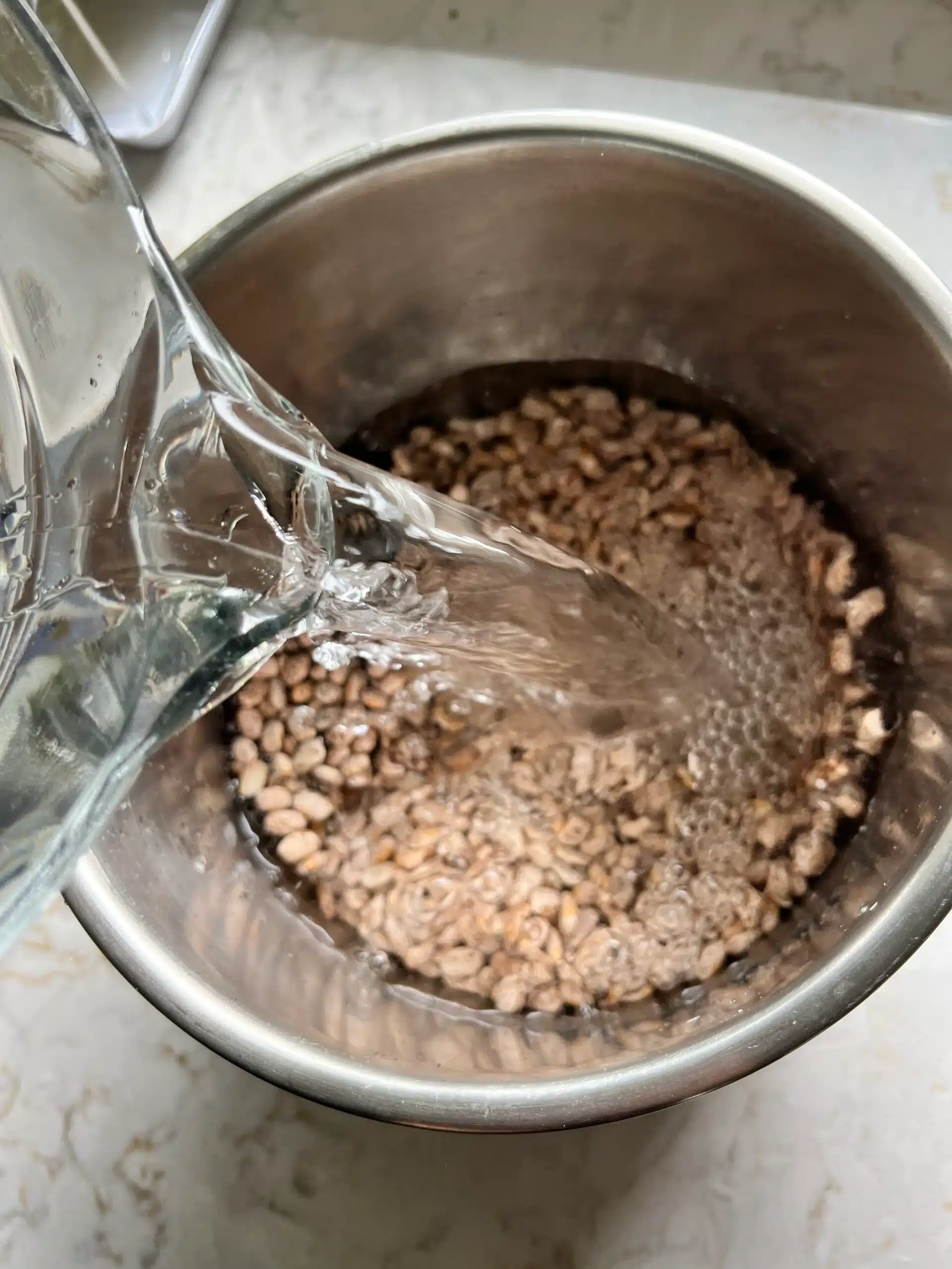 Put the Beans Into the Instant Pot
