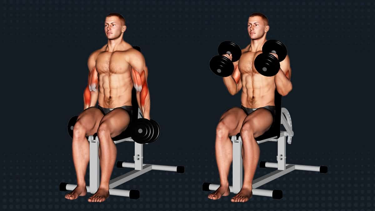 Common Mistakes associated with Hammer Curl and its advantages