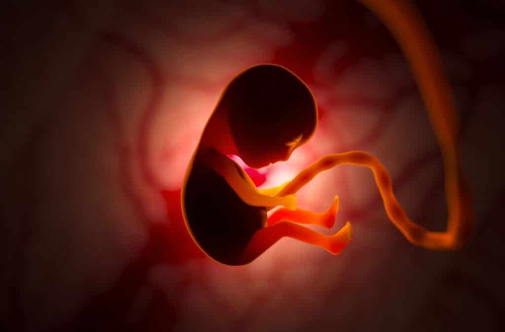 Testosterone Levels Throughout Your Life Cycle