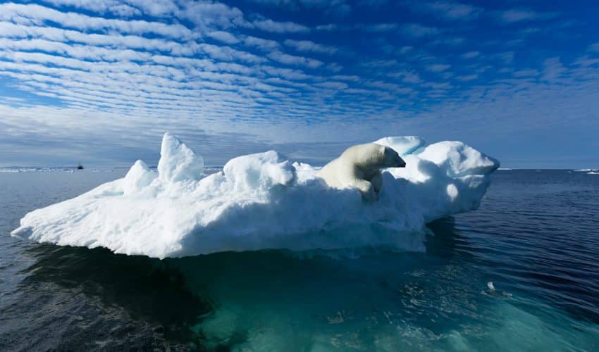 The North Pole in The Middle of The Arctic Ocean