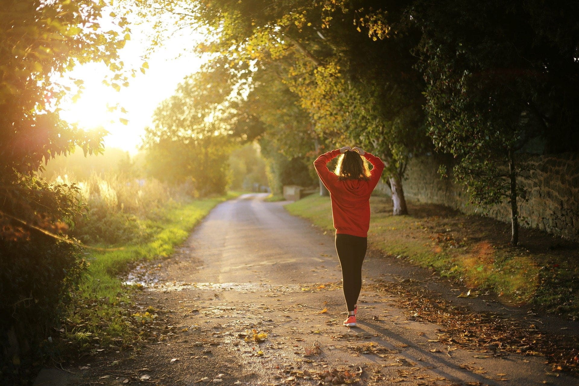 What is the Best Time to Walk?