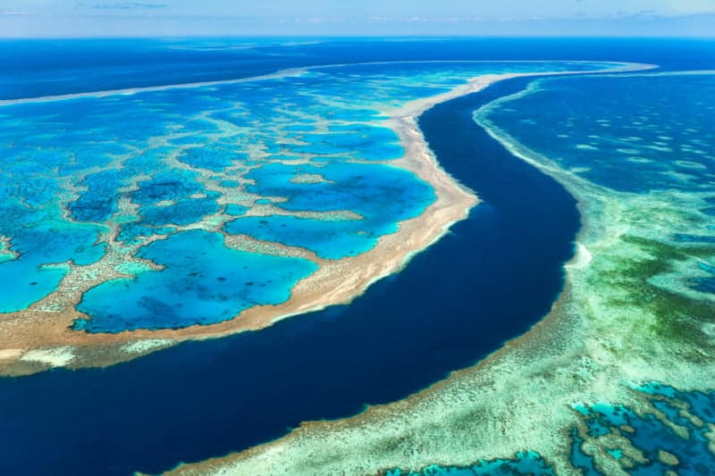 Worlds-Largest-Living-Structure-in-The-Ocean