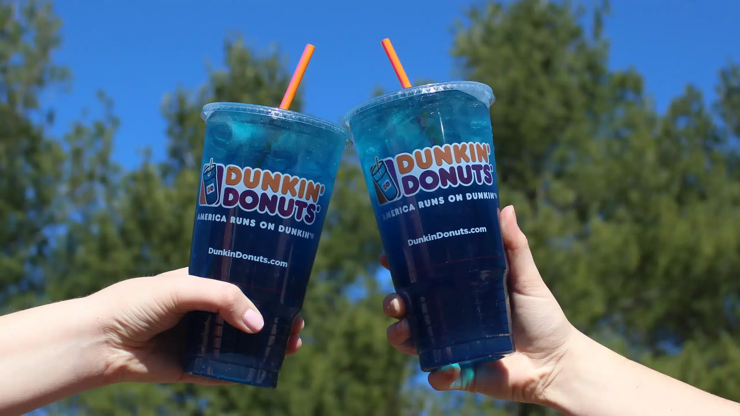 Blueberry - Bursting with Berry Goodness