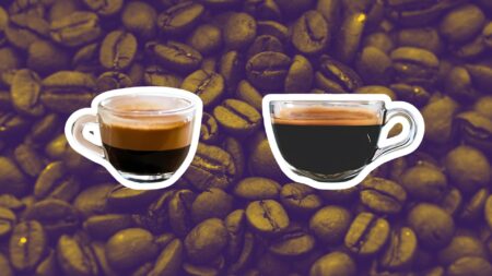 Choosing the Perfect Coffee Shot: Ristretto or Long Shot?