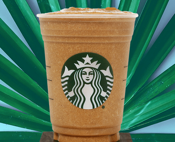 Cacao Protein Blended Cold Brew