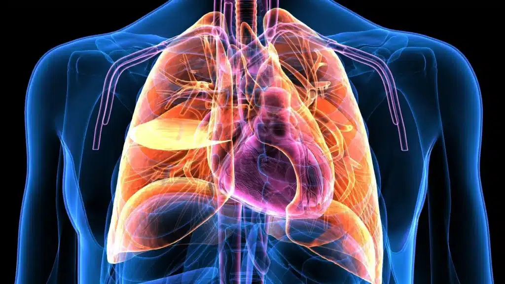 How Monster Energy Affects the Cardiovascular System.