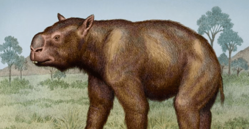 Zygomaturus