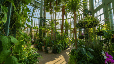 Amazing Facts About Plants Every Kid Should Know