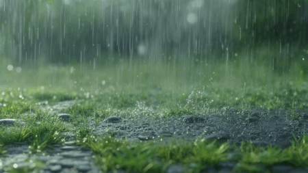 Fun Facts About Rain That Will Change How You See a Rainy Day
