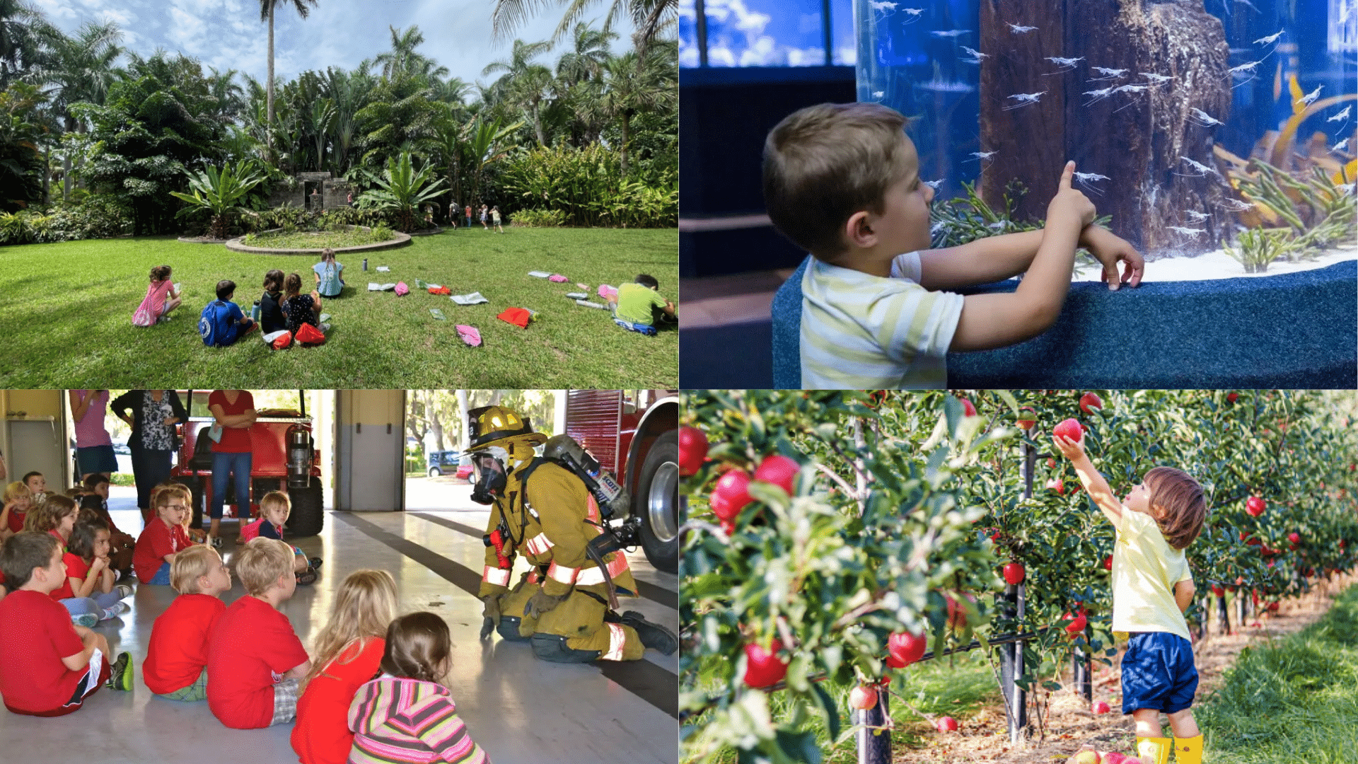 Seasonal_Homeschool_Field_Trips_That_Spark_Curiosity