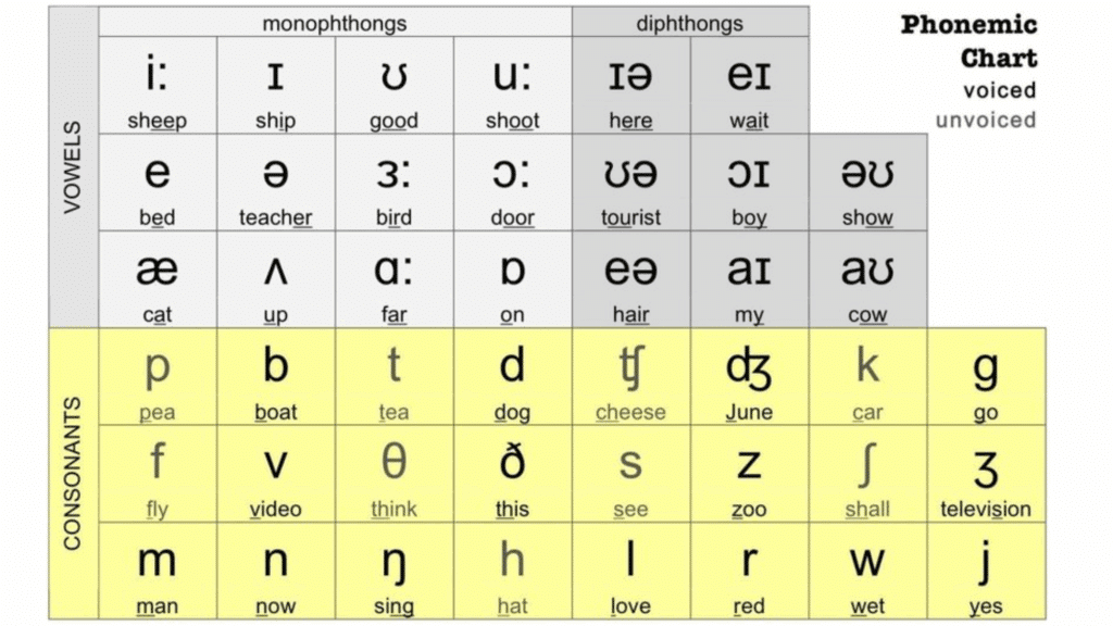 What are the Phonemes?